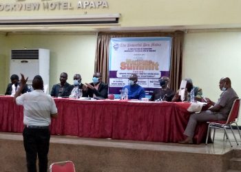 EXPERT LINKS PORTS CONCESSION AND ITS RESULTANT GRIDLOCK WITH ‘NWANKELU’ BIRD ANALOGY