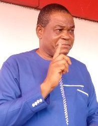 MAJAN ELECTS NEW EXECUTIVES