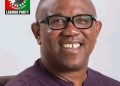 RECLAIMING NIGERIA FROM CLUELESS, CORRUPT POLITICIANS IS POSSIBLE WITH PETER OBI ON THE BALLOT — GROUP