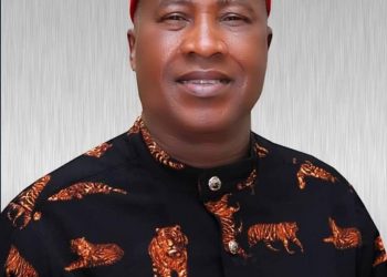 ISTDAL IMO DAY CARNIVAL 2022, A HUGE SUCCESS — CHIEF CHRIS EKEOCHA