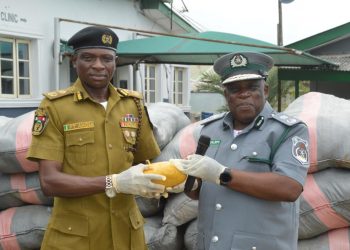 WMC Seizes Cannabis Sativa Worth N700 Million, Hands Over 8,240 Parcels Of Hemp, Others to NDLEA