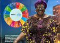 NIGERIANS CELEBRATE MOGO’S SHINNING LIGHT AT WMU, UN