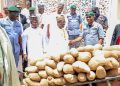 CUSTOMS CG URGES DAWANAU INT’L GRAIN MARKET TO AVOID ILLEGAL EXPORT, HOARDING