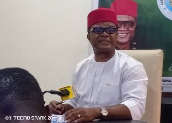 B’Odogwu: Chukwuma Urges Freight Forwarders to Exercise More Patience, Solicits Provisional Release