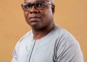 Inter-Agency Coordination, Accountability Benchmark Key In Proper Harmonization Of Single Window, Other Digital Systems —- Aniezechukwu